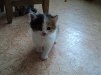 DSC02093.JPG