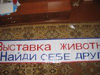 IMG_6311.JPG