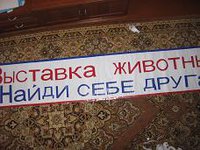 IMG_6312.JPG