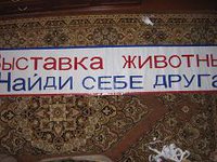 IMG_6313.JPG