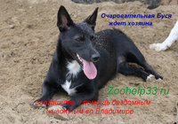кал2.jpg