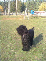 20120624193044_0151.jpg