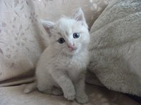 20120625002947_W-am28wQ2gM.jpg