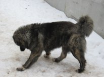 IMG_0028.jpg