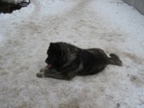 IMG_0026.jpg