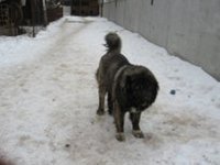 IMG_0022.jpg