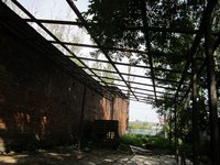 IMG_3772.JPG