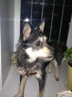 20120627122150_RQaMBFUaSWA.jpg