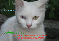 кал12.jpg