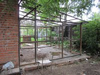 IMG_3775.JPG