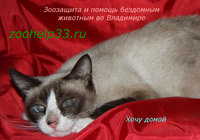 кал14.jpg
