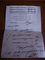 DSC05472.JPG