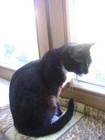 DSC05482.JPG