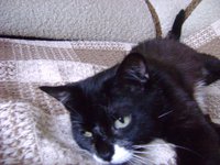 DSC05490.JPG