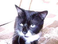 DSC05502.JPG