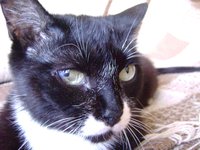 DSC05508.JPG
