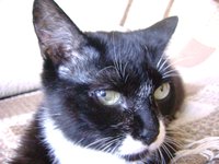 DSC05509.JPG