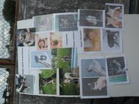 SAM_0559.JPG