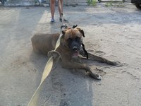 Гриша 1.jpg