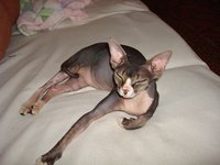 DSC03850.JPG