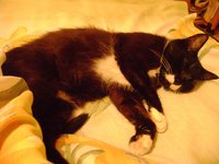 DSC05514.JPG