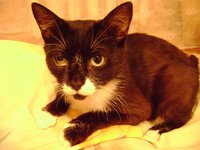 DSC05520.JPG