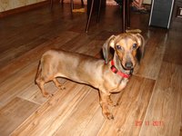20120717174957_DSC04151.JPG