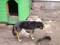 DSC05596.JPG