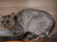 DSC05584.JPG