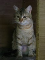 DSC05545.JPG