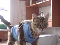 DSC05549.JPG