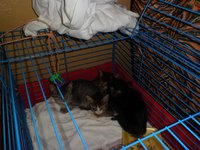SAM_0678.JPG