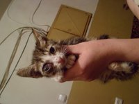 SAM_0681.JPG