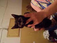 SAM_0684.JPG