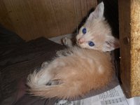SAM_0666.JPG
