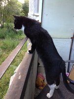 фотография (53).JPG
