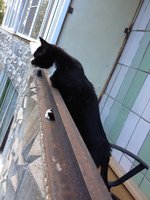 фотография (54).JPG