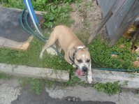 SAM_0666.JPG