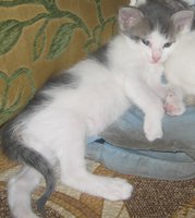 IMG_0292.JPG
