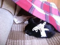 DSC05724.JPG