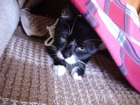 DSC05731.JPG