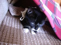DSC05732.JPG