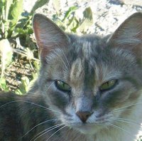 100_2588.JPG