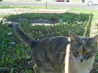 100_2585.JPG