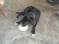 SAM_1119.JPG