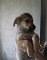 DSCF2231.JPG