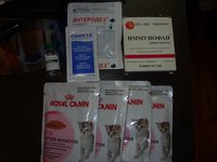 SDC13605.JPG