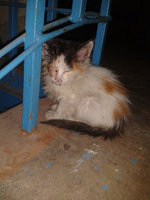 52b5001dae5ad9da785645be93321d26.jpg