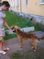гор2.jpg