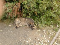 20120814_1712211.jpg